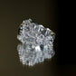 Lovely Taygete - Star of the Pleiades Talismans - Ring 1# size 7 1/4