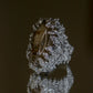 Lovely Taygete - Star of the Pleiades Talismans - Ring 8# size 8 3/4