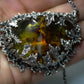 Apollo Karneios / Exalted Sun Talismans / Sol Invictus! - Amber wrapped in Leaves