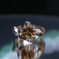 Joy of Jupiter #3, size 8
